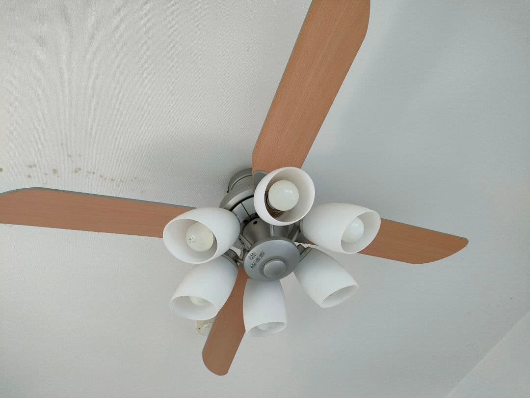 オーデリック　シーリングファン　ライト　wf801+wf805