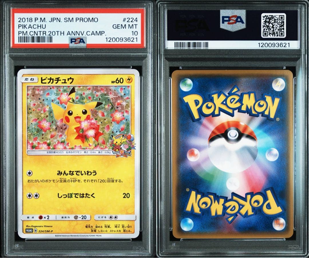 psa10 ピカチュウ　プロモ　224/SM-P みんなでいわう　20th