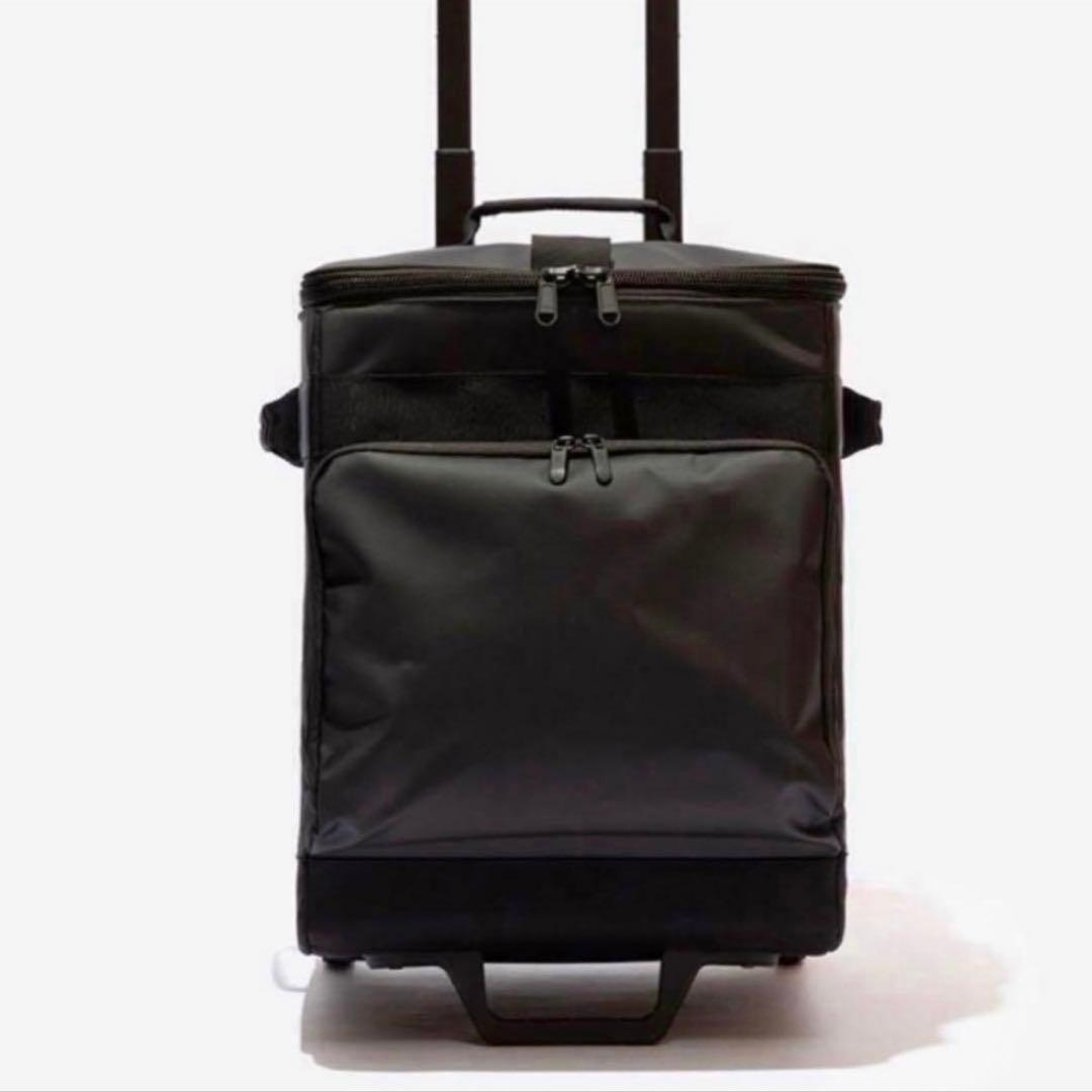 THE NORTH FACE STANDARD レコードバッグ 12 新品未使用