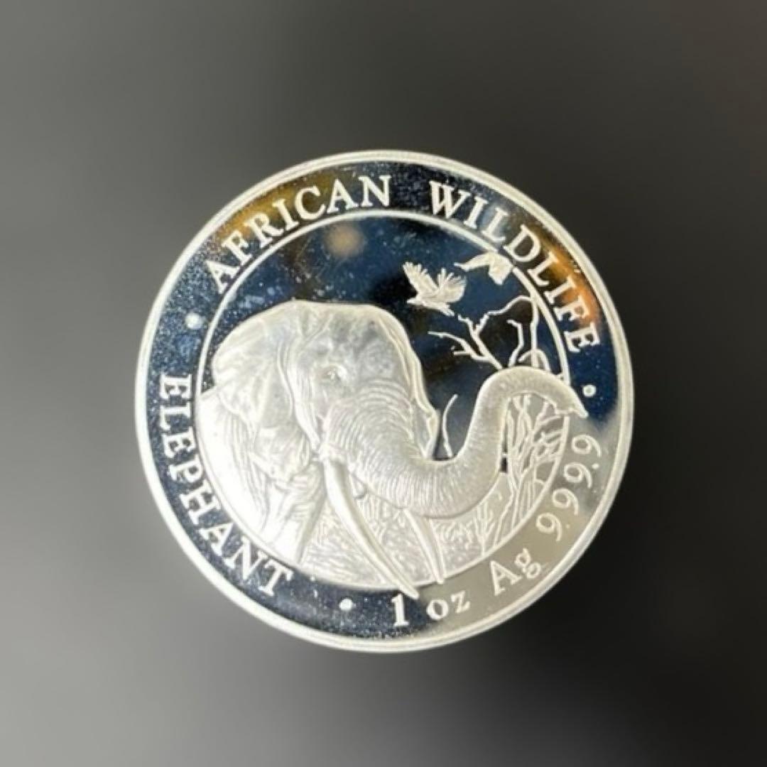 【純銀】ソマリア共和国　2018年　エレファント銀貨100シリング　1オンス②
