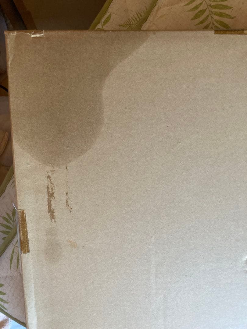 Tony 版画　妖精王国の優雅な一時　アールジュネス　＊送料込み