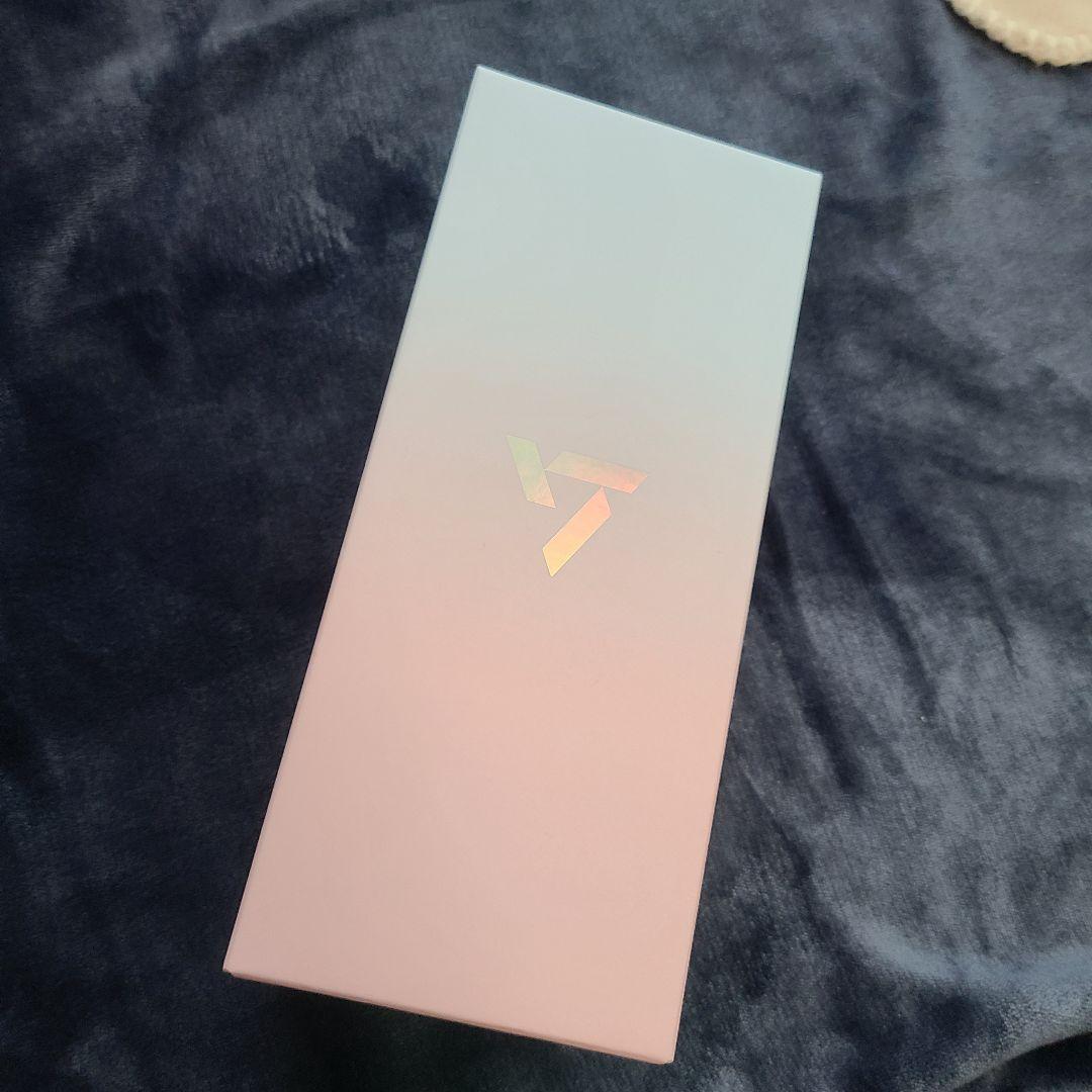 SEVENTEEN ペンライト 10周年 ボンボンイ ケース セット