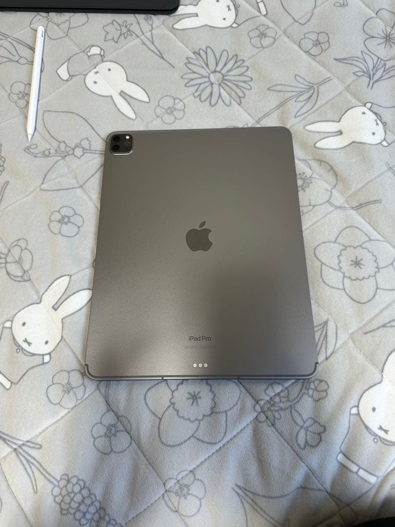 Ipad Pro12.9第6世代 2022 256GB WF+Cellular