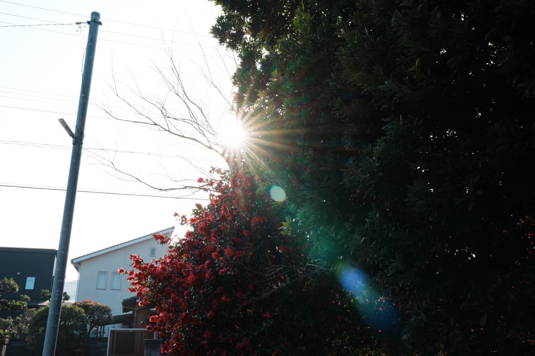 Sony GM 35mm F1.4 SEL35F14GM 保証残 完動品 美品