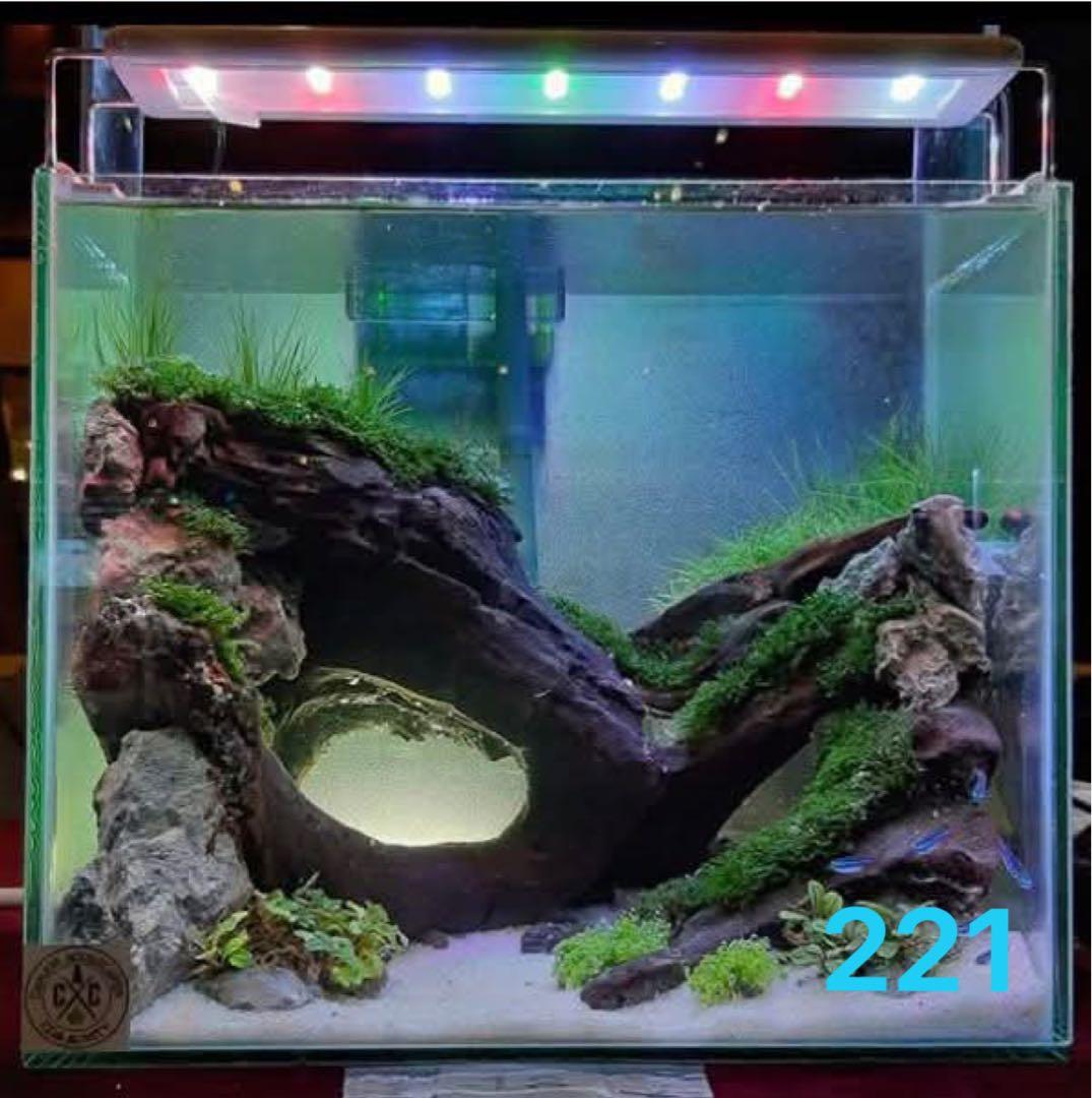 流木 ブランチウッド 流木アクアリウム　パルダリウム　マシンガンウッド 盆栽流木