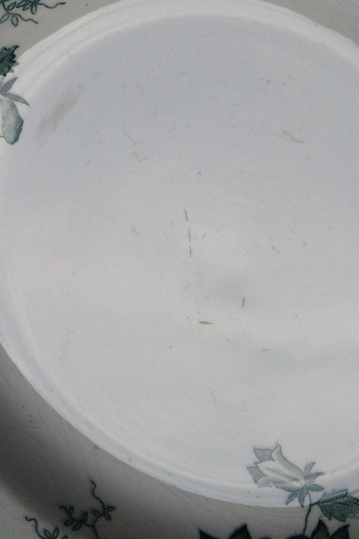 Campanule saint Amand プレート　深皿　グリーン　サンタマン