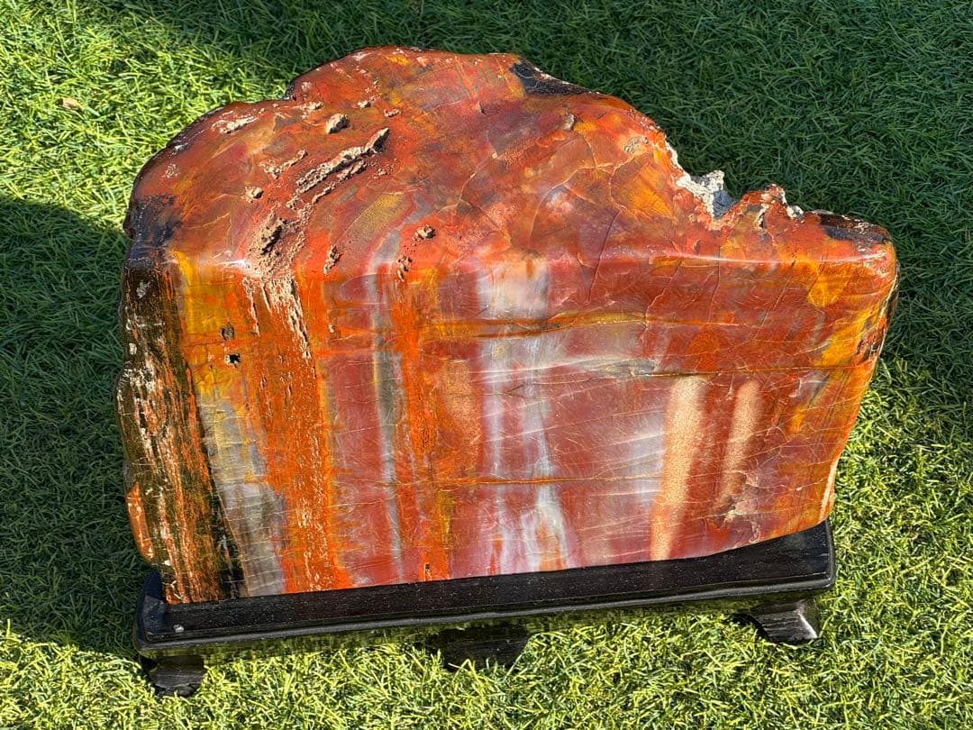 珪化木 木化石 鑑賞石 天然石 水晶 色石 赤石 赤玉石 アリゾナ珪化木 置物