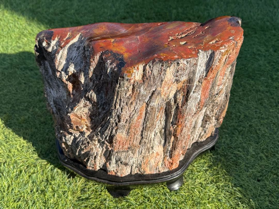 珪化木 木化石 鑑賞石 天然石 水晶 色石 赤石 赤玉石 アリゾナ珪化木 置物