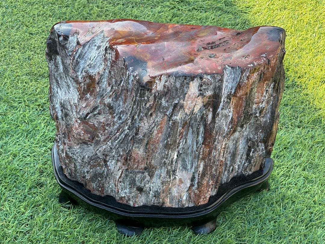 珪化木 木化石 鑑賞石 天然石 水晶 色石 赤石 赤玉石 アリゾナ珪化木 置物