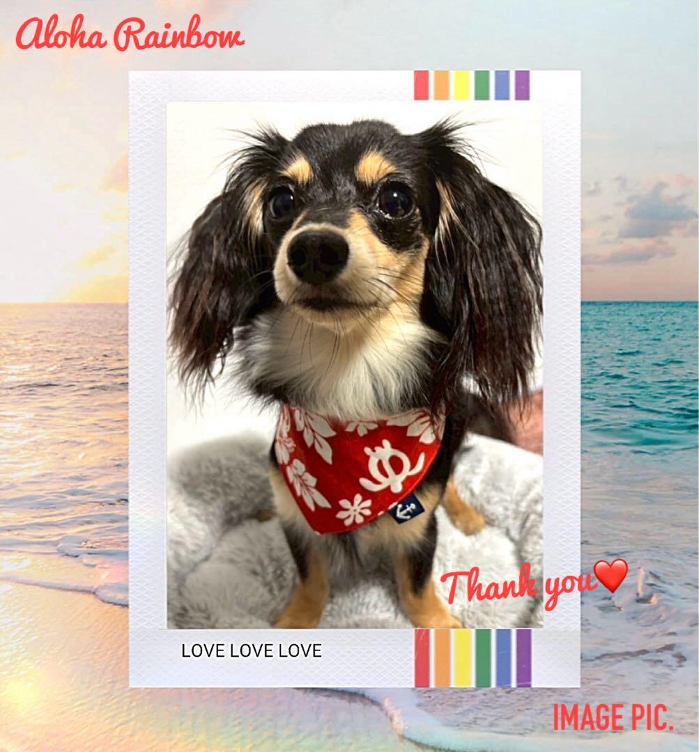 No.2932☘️ 犬猫用 リバーシブル バンダナ Mサイズ ハワイアン ピンク