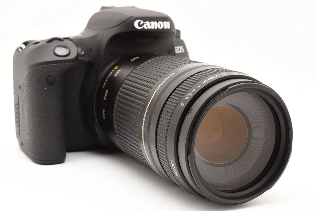 Canon EOS 9000D 望遠レンズセット/Canon EF 75-300