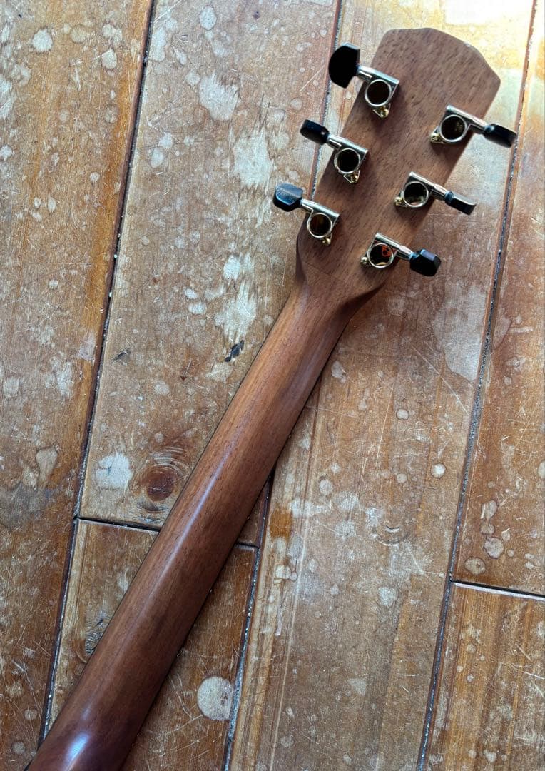 MORRIS S-031SP NAT 限定30本モデル