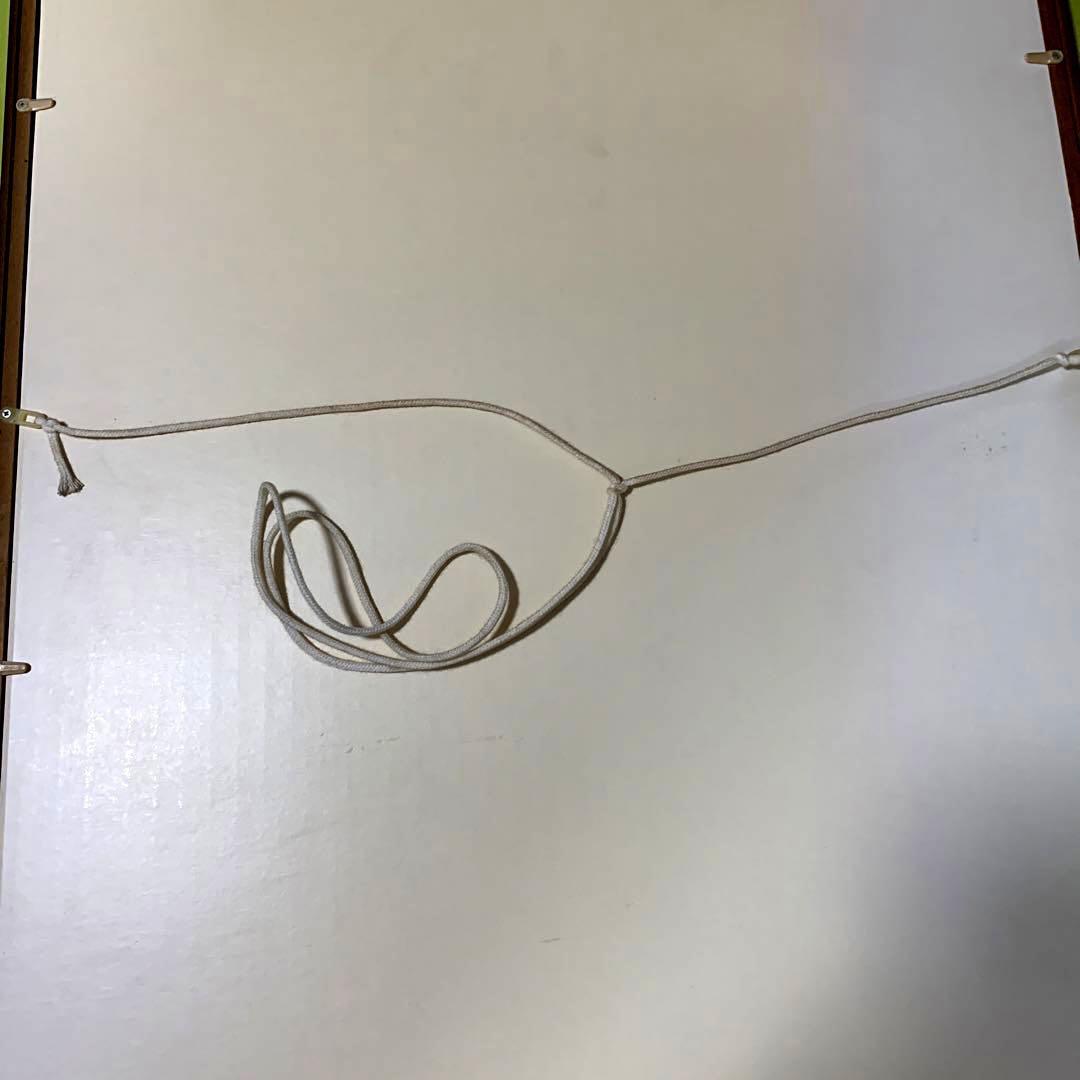 ジブリ　もののけ姫「犬神モロとサン」1000ピースパズル【完成品】