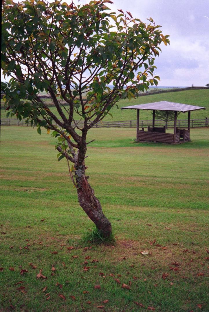 OLYMPUS 35 RC 製備品、テスト撮影済　130117