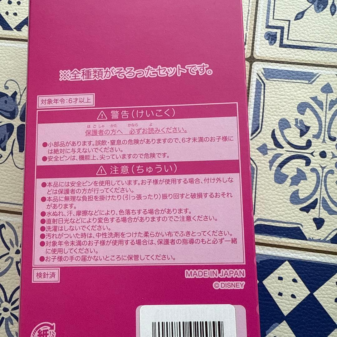 ディズニー　ワッペン　パルパルーザ　ミニーのファンダーランド　全種セット