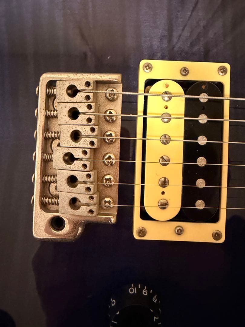 さぼてん様 PRS SE custom ポールリードスミス