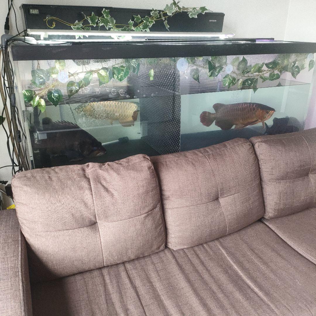 大型アクリル水槽フルセット！引き取り限定☆1500×750×600☆