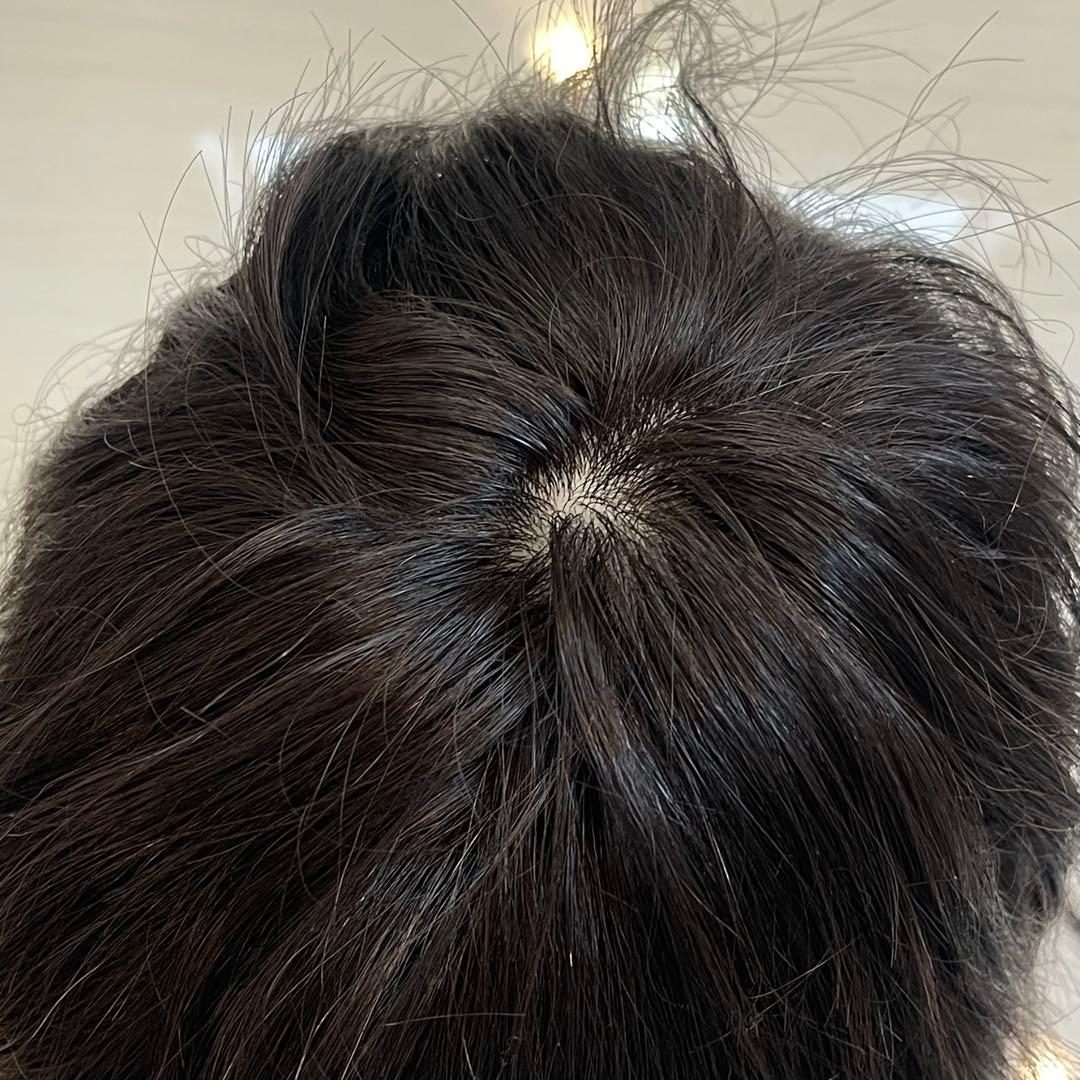 ギンカウインカGinka Winka新品/定価10万/100％人毛