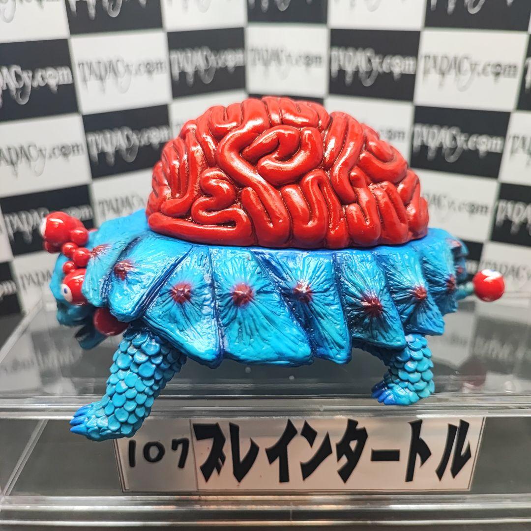 107ブレインタートル