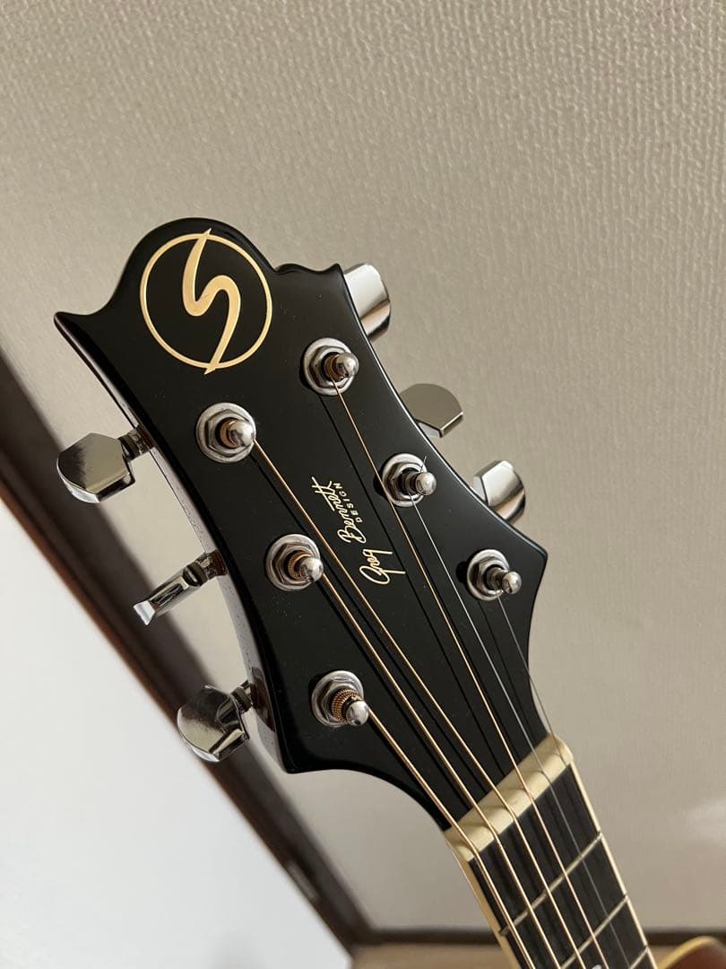 Greg bennett gd-100sm/n アコースティックギター