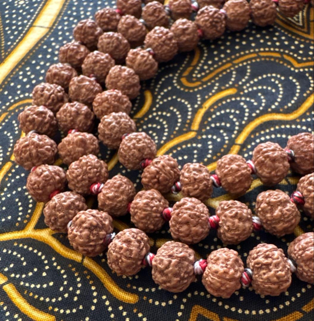 ルドラクシャマーラー　トップ　ガウリシャンカール　14ムキ　②