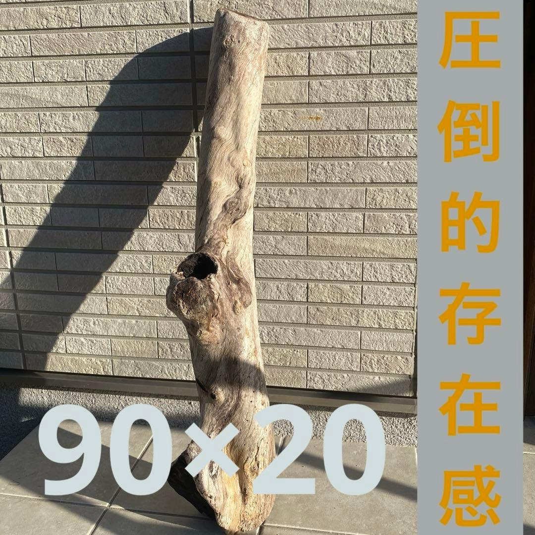 【希少大型流木】　☆おまとめ買い値引き実施中です☆