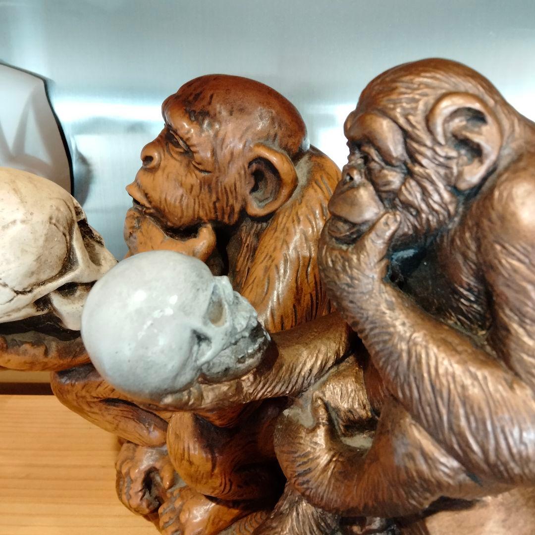 60s ダーウィン　スカル　ドクロ　モンキー　ビンテージ 毛なみ