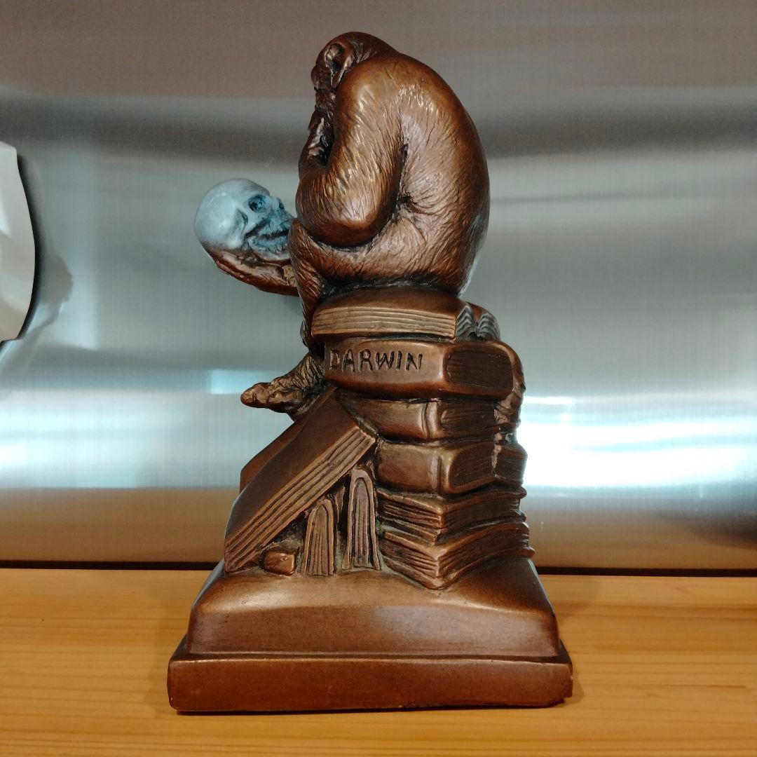 60s ダーウィン　スカル　ドクロ　モンキー　ビンテージ 毛なみ