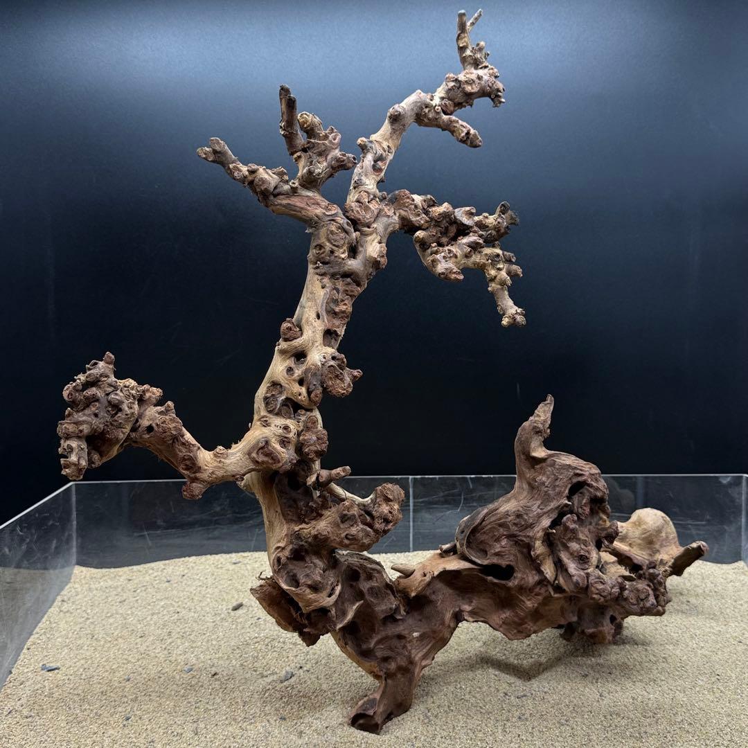 MSW-7083 天然流木 一点物　枝流木　アクアリウム