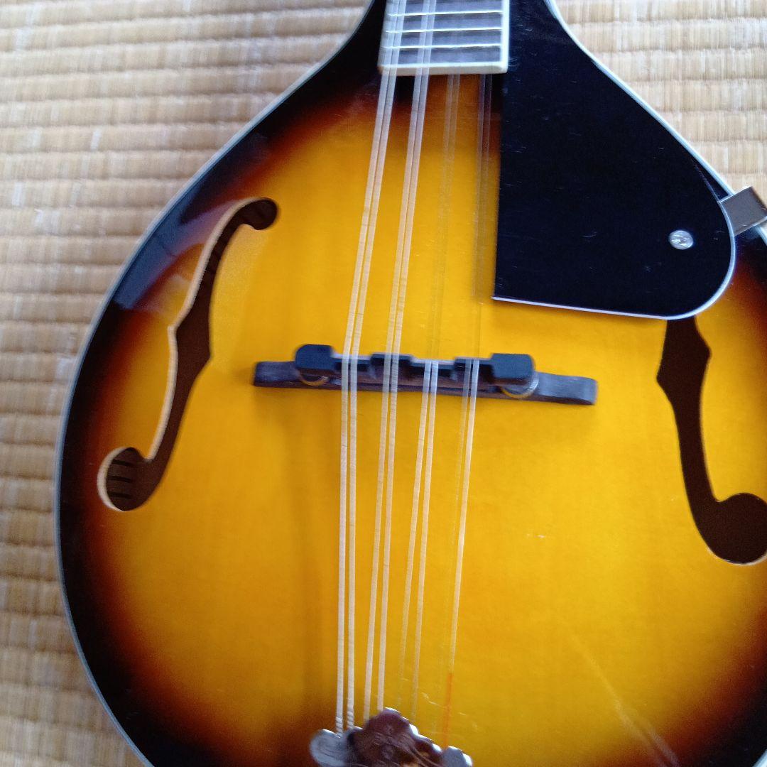 フラットマンドリン