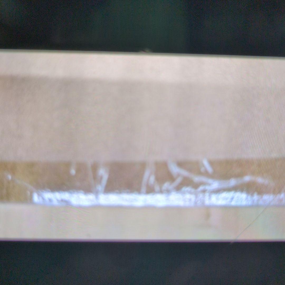 ムービーモンスターシリーズ。ゴジラ.マイナスカラーバージョン。