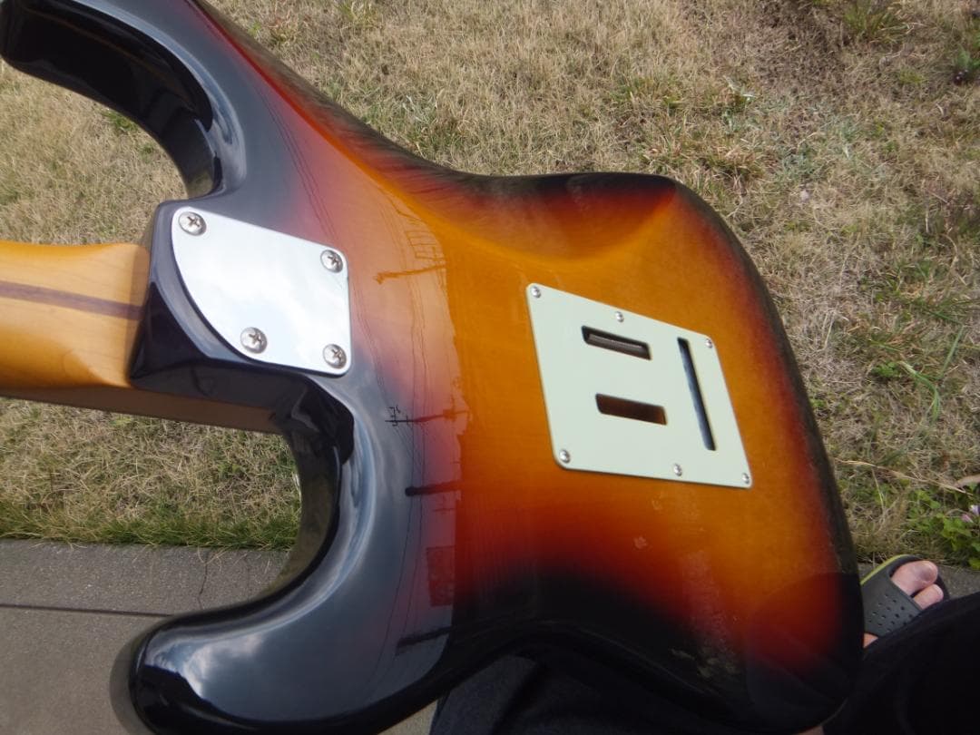 Fujigen Coolz ZST-10R　アルダー　アルニコ