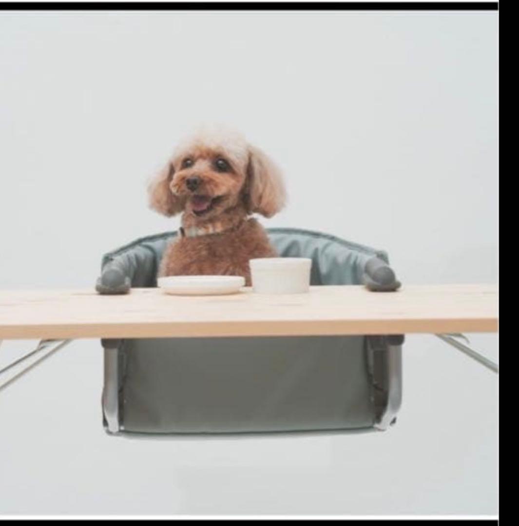ペット用テーブルチェア MOGU CHAIR 美品