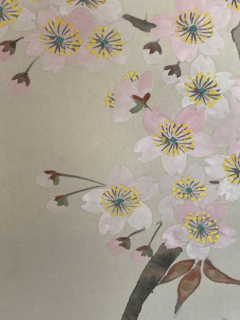 掛け軸 「 桜」箕輪虹遊 作　三越美術館 ☆ USED