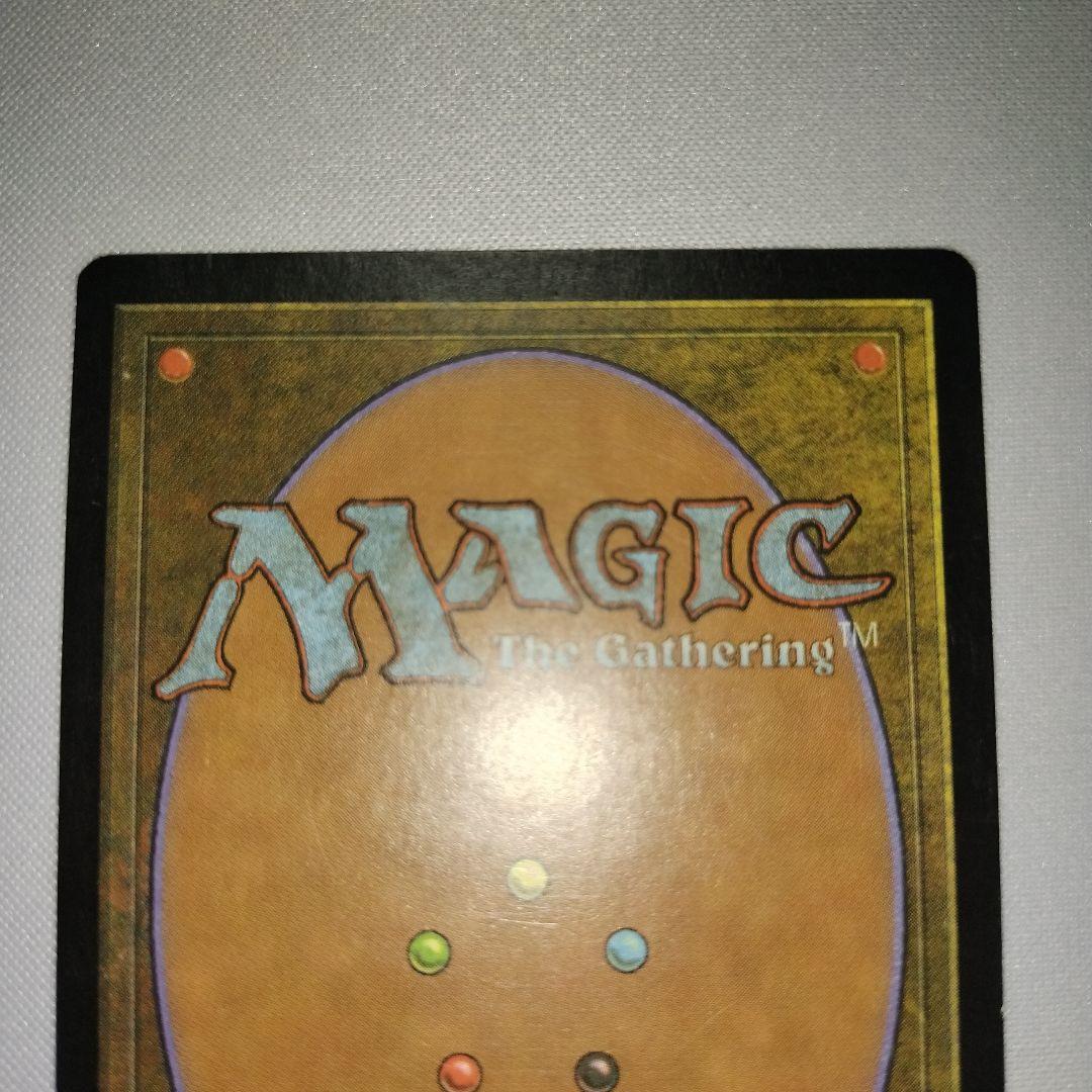 トレイリアのアカデミー　mtg マジック
