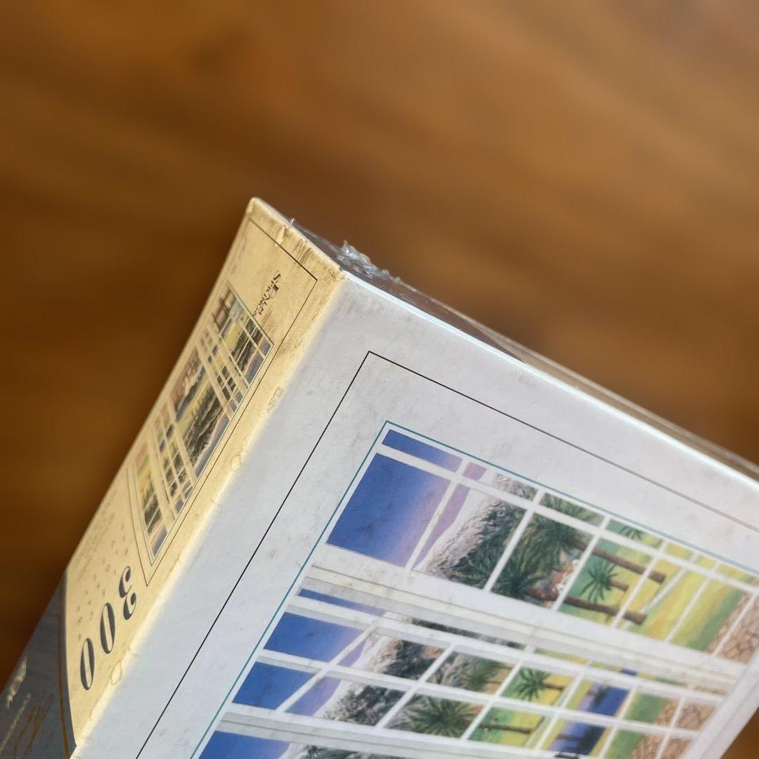 ボン　ジグソーパズル　ファンチ•レダン パームスプリング 300P 未開封