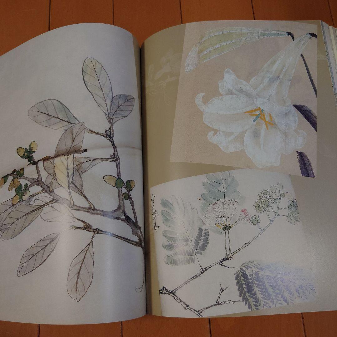 柴田是真 スケッチ集