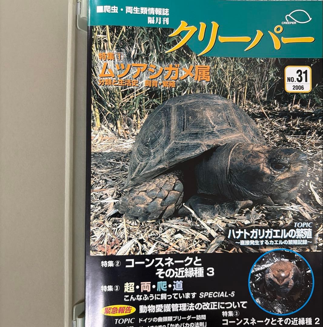 クリーパー 31号〜36号 6冊セット