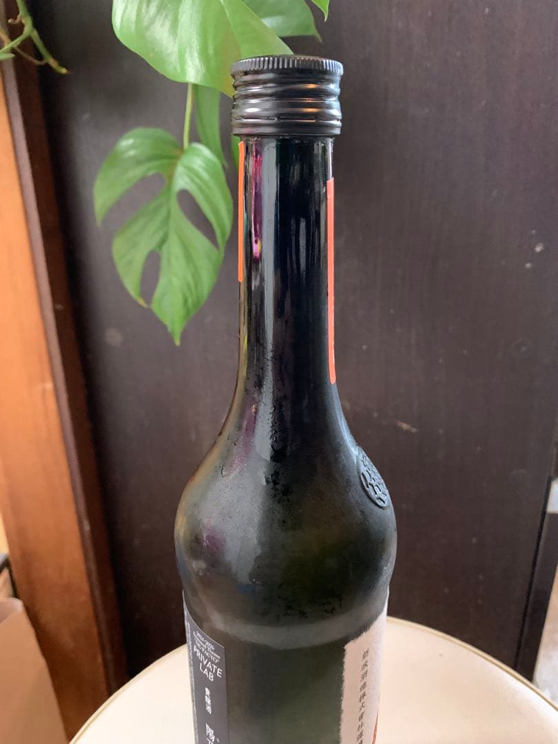 新政　陽乃鳥　2024 2025.07出荷