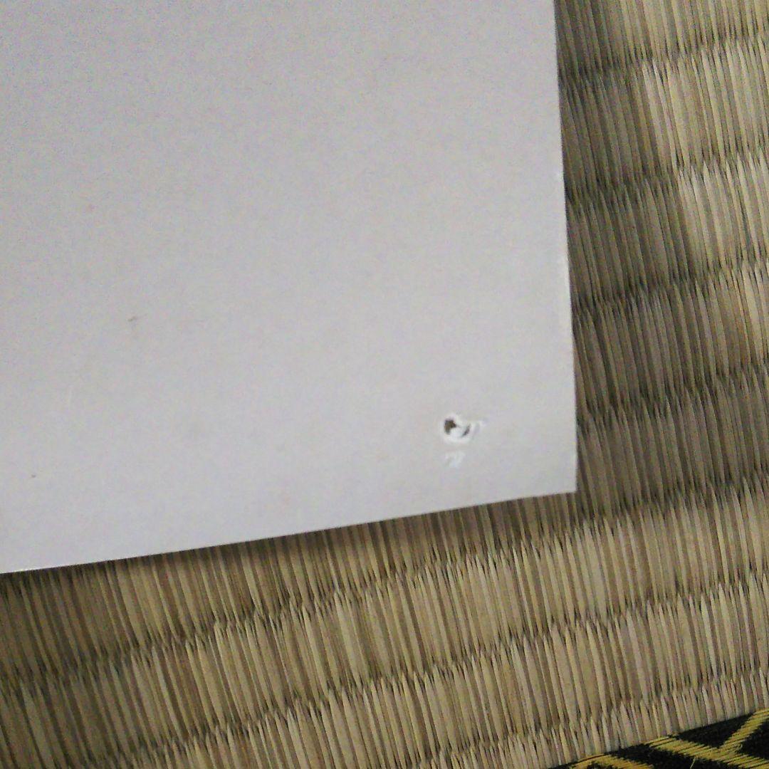 Supreme ルーリード ポスター