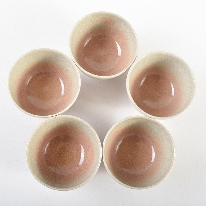 煎茶道具　北村和善作　御室焼　御本手　煎茶碗　五客　共箱　M　R5833