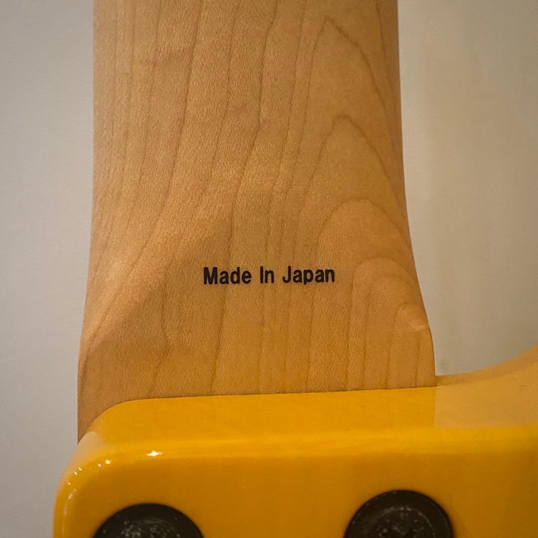 ベース ATELIER Z Buddy of Life