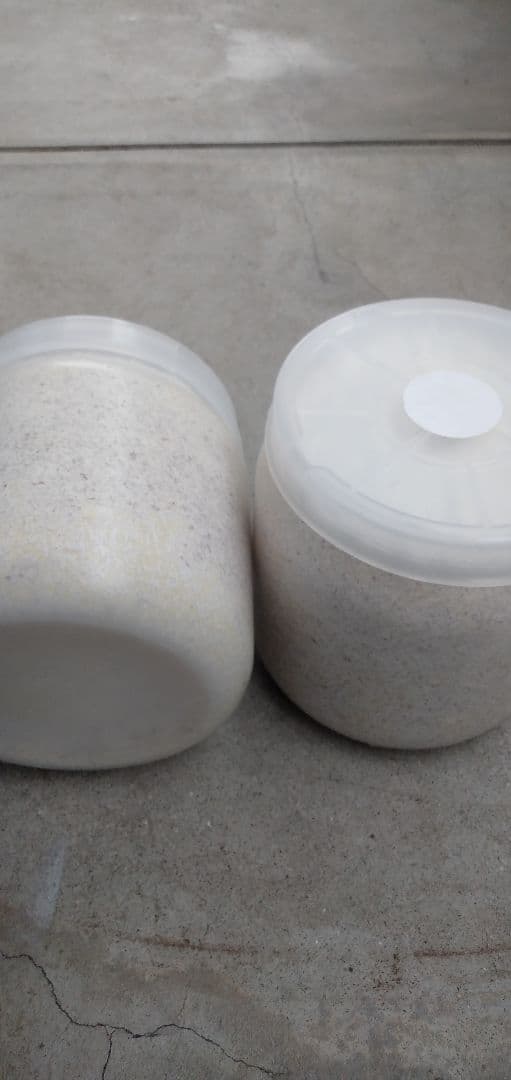 カワラ菌糸ビン800   12本セット　産卵最適　2カ月保存