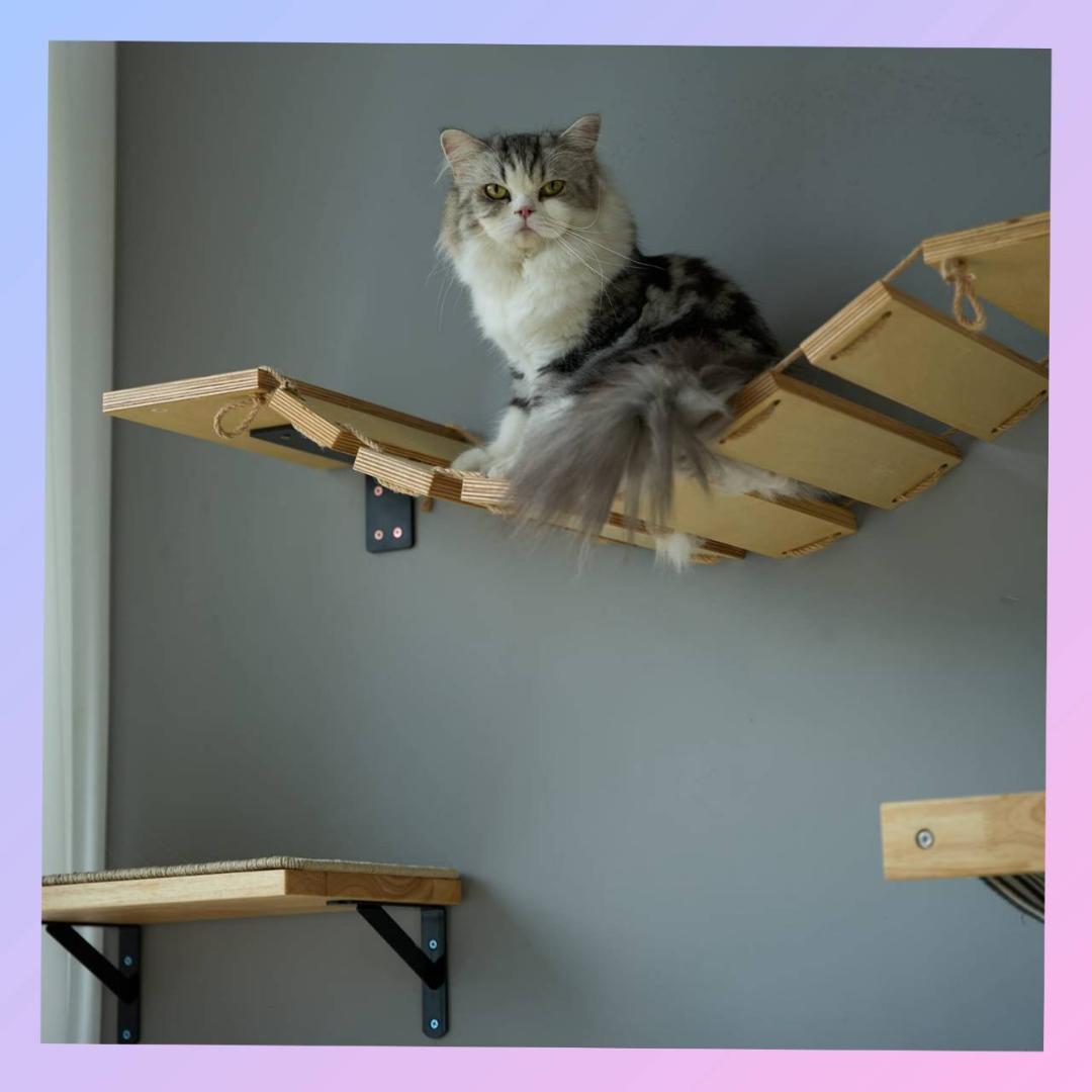 ステップ シンプル 吊り橋 木製 キャットウォーク