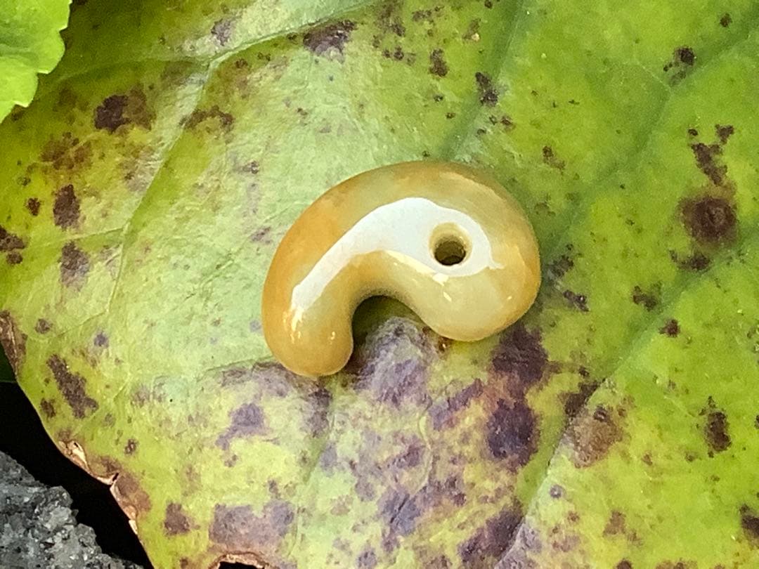 ⭕️超極上レア物　✳一番数少ない幻の幸運の黄色‼️ 糸魚川翡翠勾玉ガラス質鑑定鑑別書