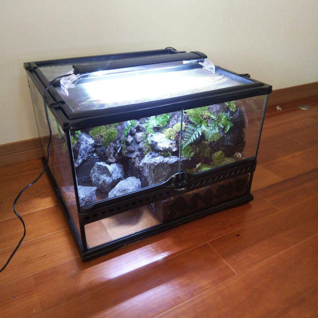 【受注生産】滝のあるアクアテラリウム　グラステラリウム 4530イモリウム