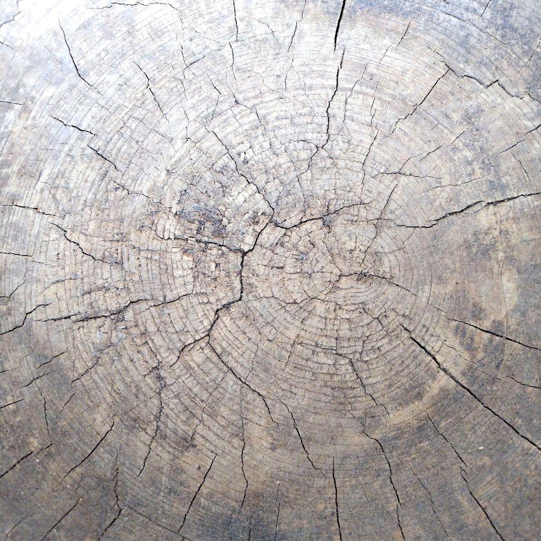 昭和レトロ　けやき臼　餅つきうす　アンティーク古道具　ジャンク品