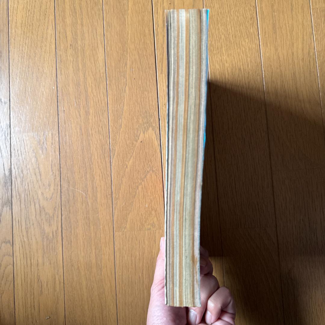 週刊少年ジャンプ 1998年7号 WILD HALF表紙 浅美裕子