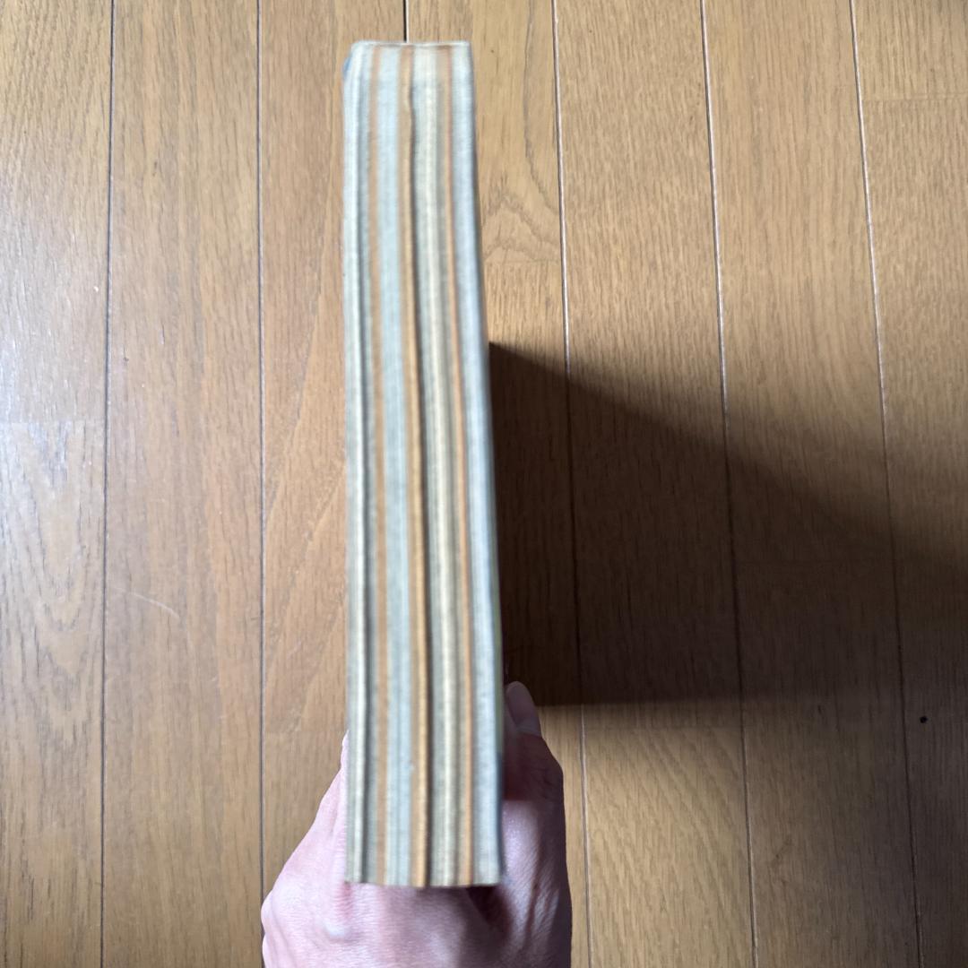 週刊少年ジャンプ 1998年7号 WILD HALF表紙 浅美裕子