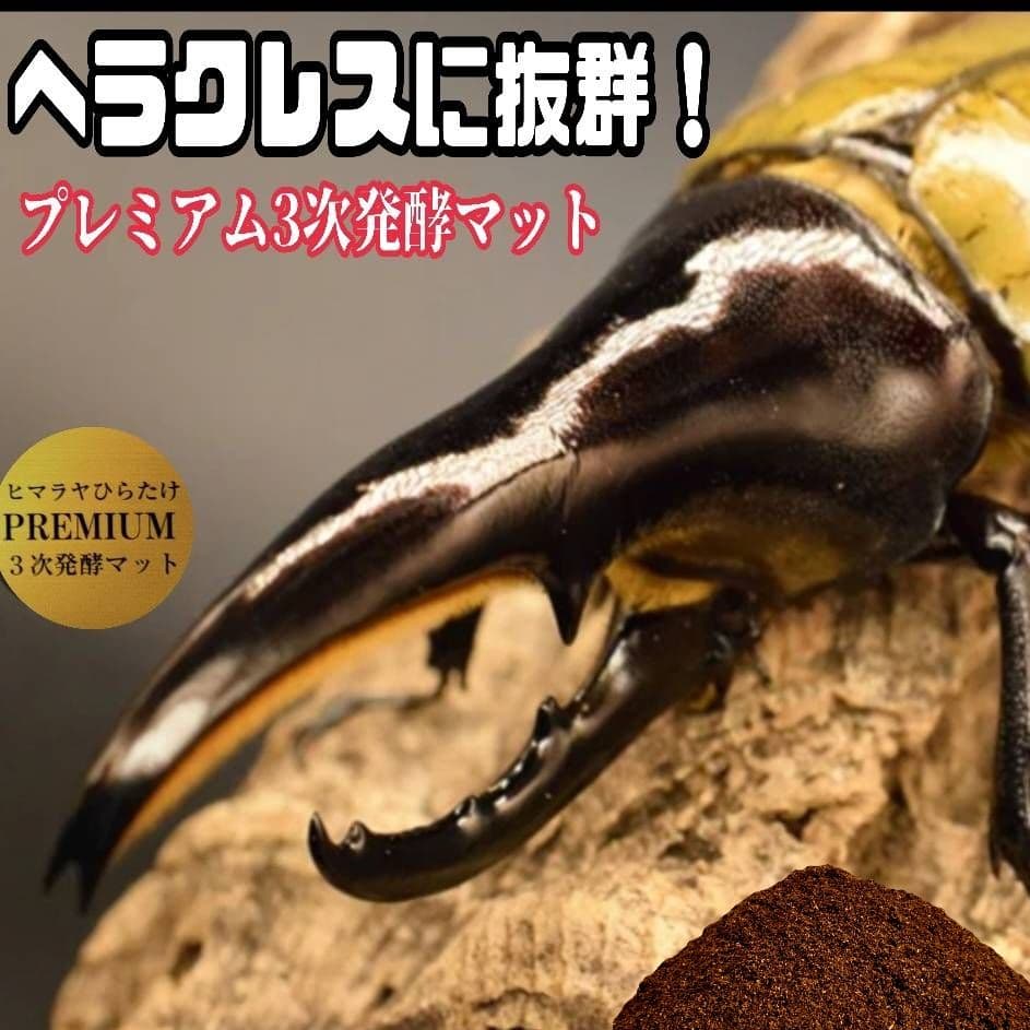 極上！プレミアム3次発酵カブトムシマット【40L】ヘラクレス181ミリ羽化実績！